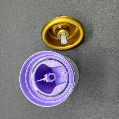 কেনা Environmentally-Conscious Aerosol Hair Mousse Dispenser for Green Beauty Brands with Recyclable Components অনলাইনে উৎপাদন