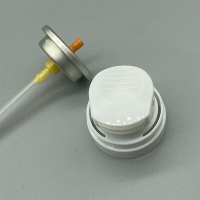 কেনা মসৃণ প্রেস এবং অ্যান্টি-ক্লজ বৈশিষ্ট্য সহ হোম গ্রিমিংয়ের জন্য শেভিং ফোম ভালভ অনলাইনে উৎপাদন