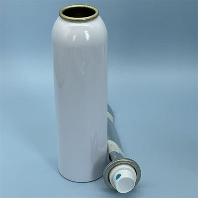 কেনা উচ্চ-কার্যকারিতা স্প্রে অ্যাপ্লিকেশনের জন্য উন্নত জীবাণুমুক্ত বাধা প্রযুক্তি সহ প্রিমিয়াম ফিমেল অ্যারোসল ব্যাগ-অন-ভালভ সিস্টেম অনলাইনে উৎপাদন