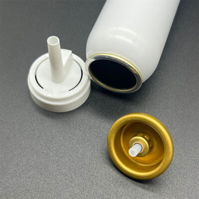 ইউনিভার্সাল ফিট অ্যারোসল হেয়ার মুজ অ্যাক্সেসরি, কাস্টমাইজযোগ্য ওভারক্যাপ এবং অ্যাকচুয়েটর সহ ওএম ব্র্যান্ডিংয়ের জন্য