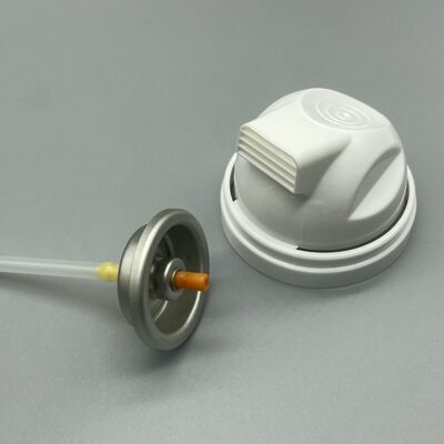 পুরুষদের শেভিং ফোম এবং ক্রিম এরোসলের জন্য প্রিমিয়াম এরোসল শেভিং ফোম ভালভ