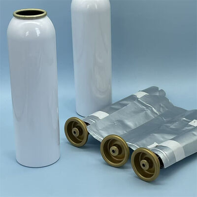 উন্নত জীবাণুমুক্তকরণ নিয়ন্ত্রণ সহ পেশাদার-গ্রেডের মহিলা ব্যাগ-অন-ভালভ অ্যারোসল সিস্টেম